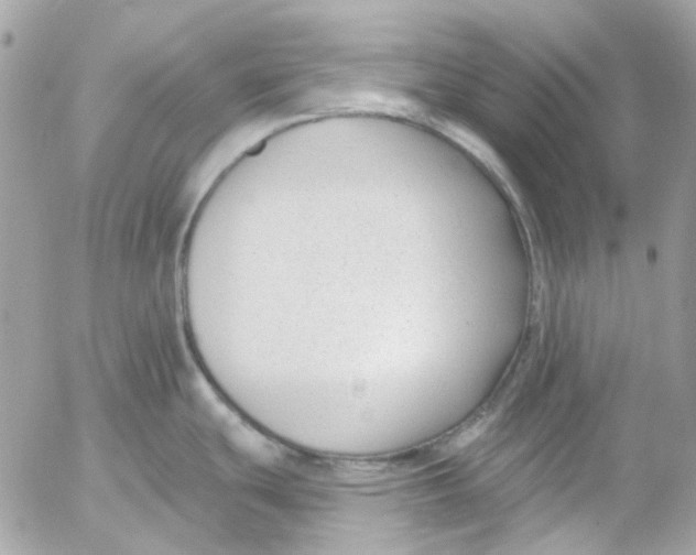 X0000052541439200507221414