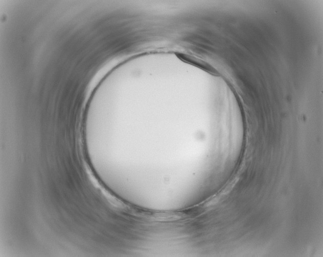 X0000052541440200507221414