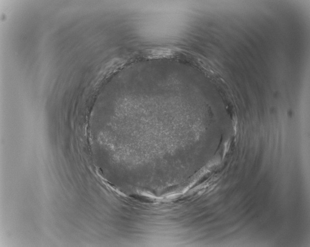 X0000052541441200507221414