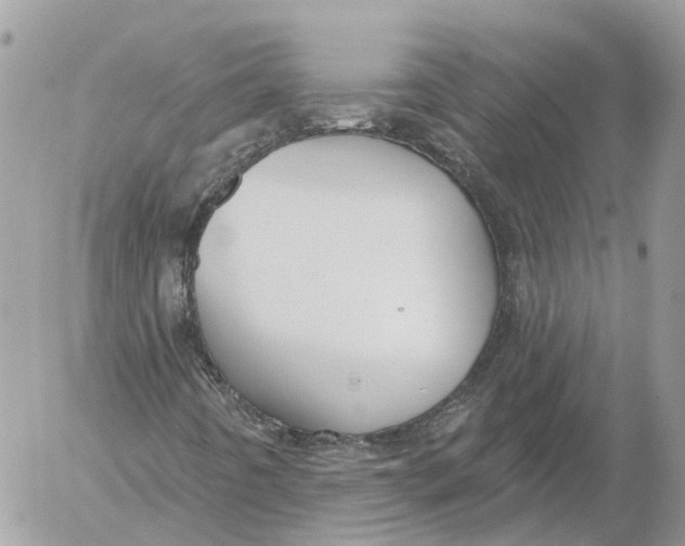 X0000052541442200507221414