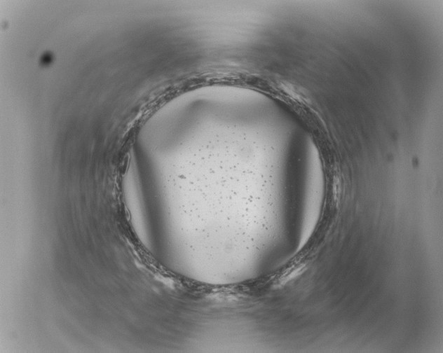 X0000052541445200507221414