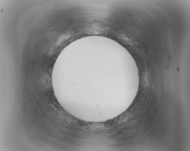 X0000052541446200507221414