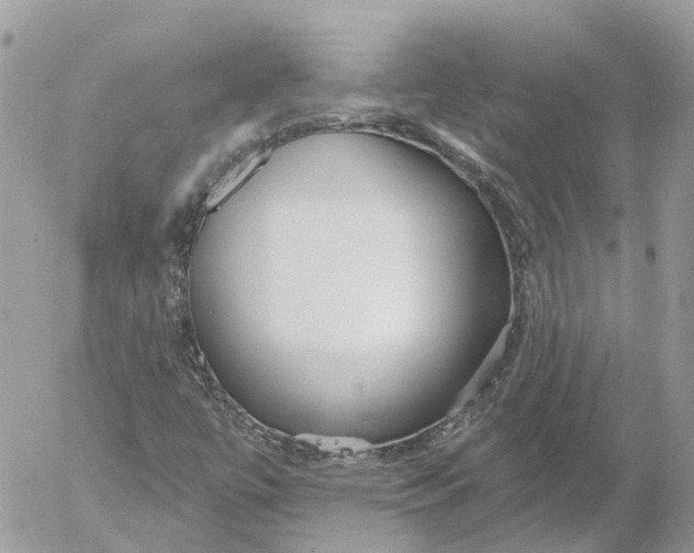 X0000052541447200507221414