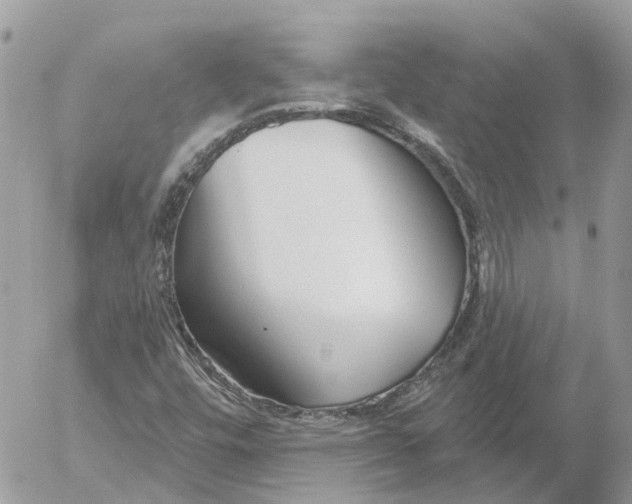 X0000052541448200507221414