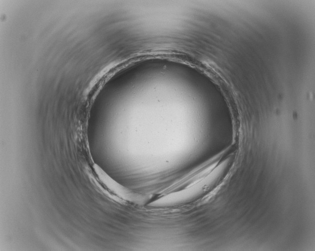 X0000052541449200507221413