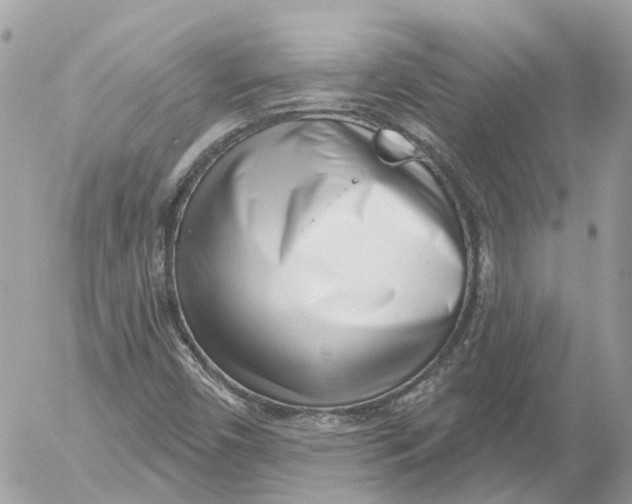 X0000052541450200507221413