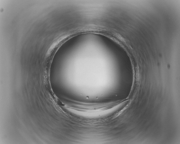 X0000052541453200507221413