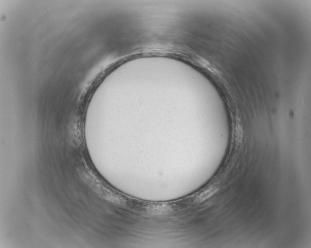 X0000052541454200507221413