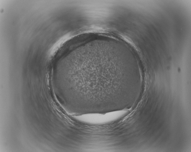 X0000052541455200507221413