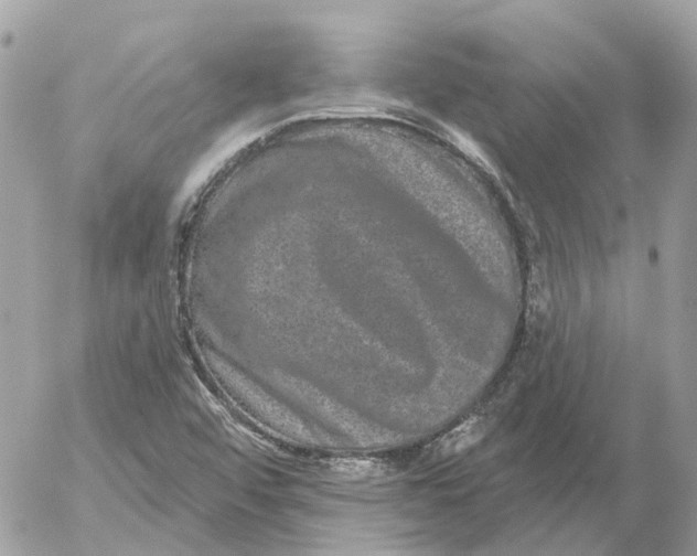 X0000052541456200507221413