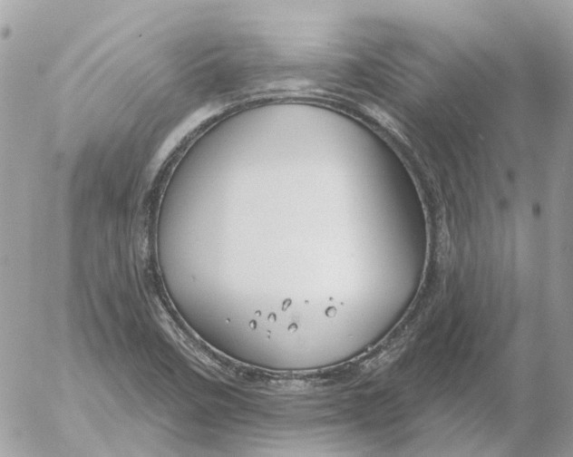 X0000052541458200507221413