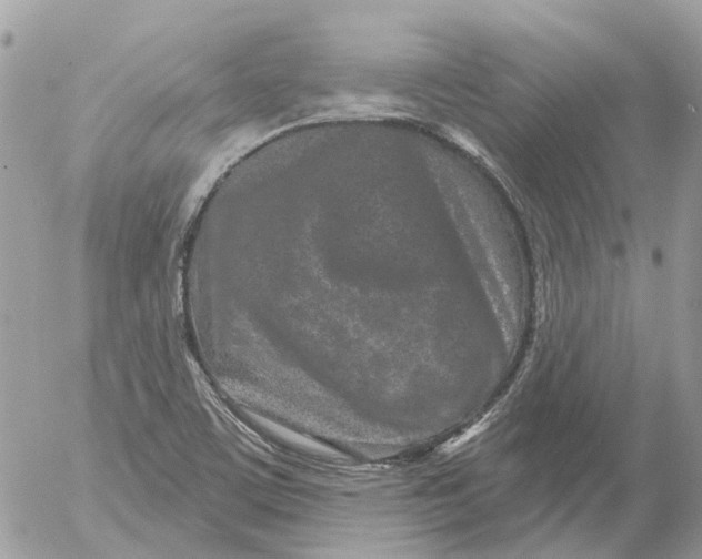 X0000052541459200507221413