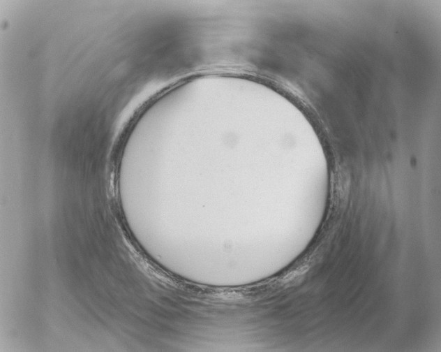 X0000052541462200507221413