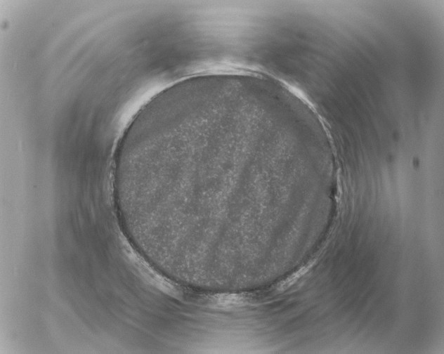 X0000052541463200507221413