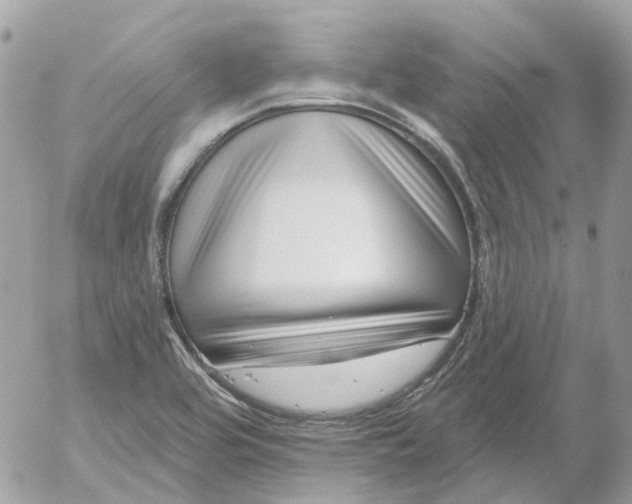 X0000052541464200507221413