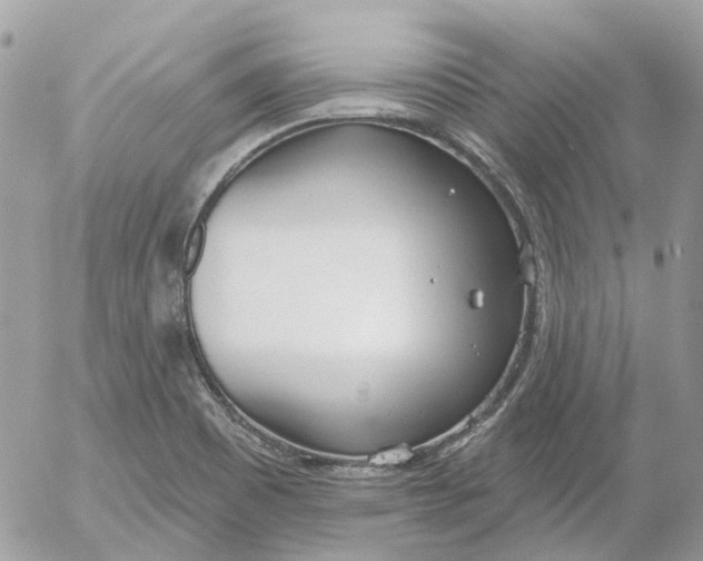 X0000052541465200507221413