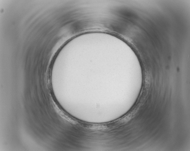 X0000052541466200507221413