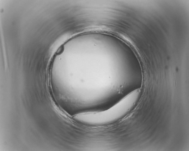 X0000052541467200507221413