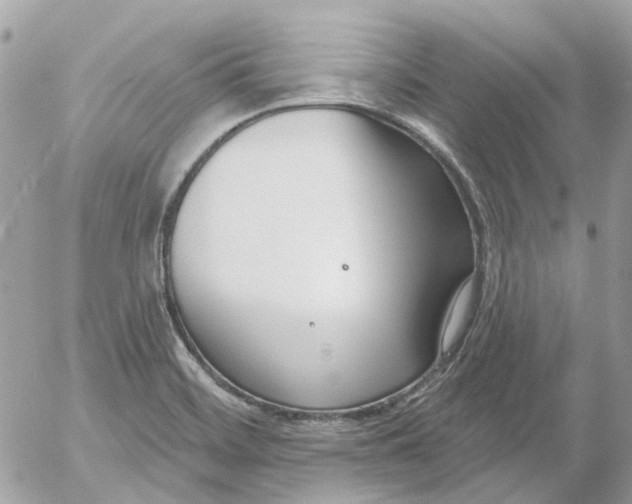 X0000052541468200507221413