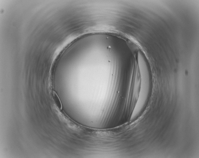 X0000052541469200507221413