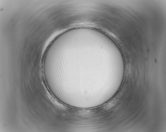 X0000052541470200507221413