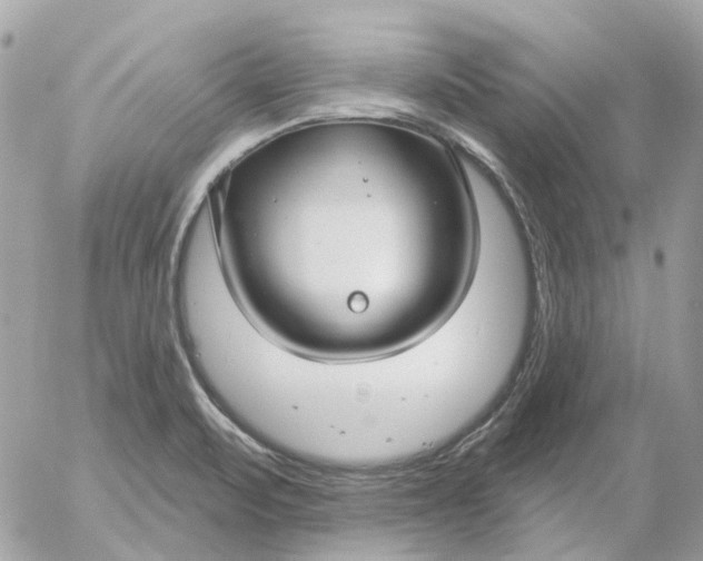 X0000052541471200507221413