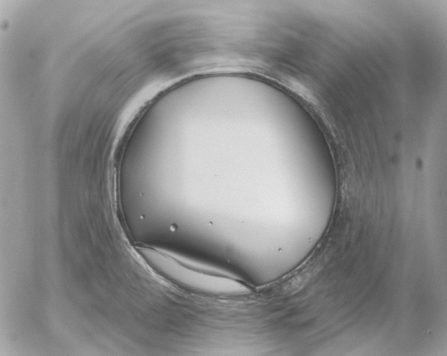 X0000052541472200507221413