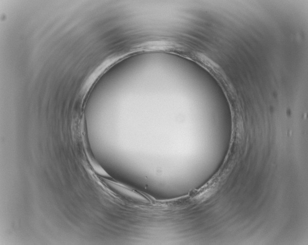 X0000052541473200507221413