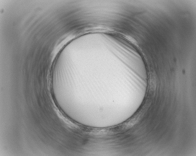 X0000052541474200507221413