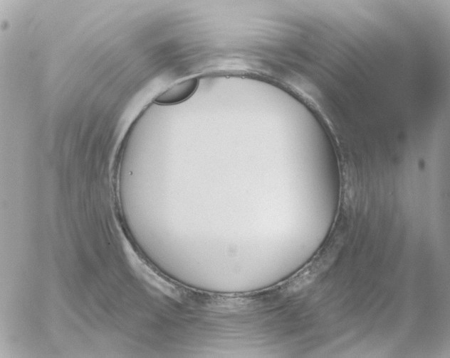 X0000052541475200507221413