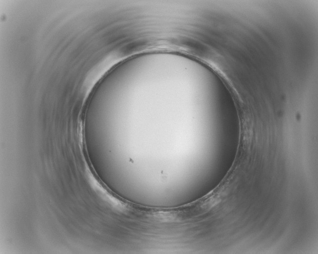 X0000052541476200507221413