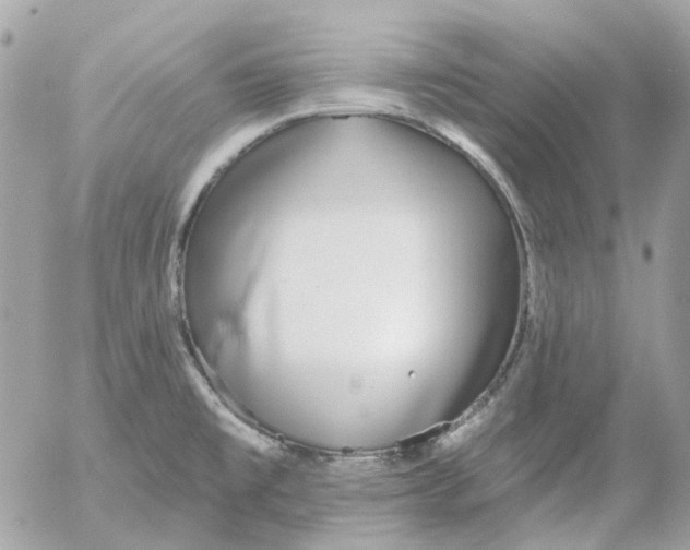 X0000052541477200507221413