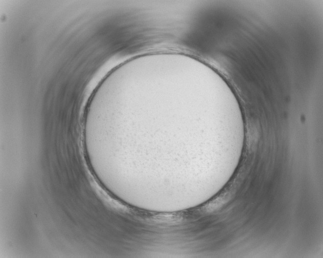 X0000052541478200507221413