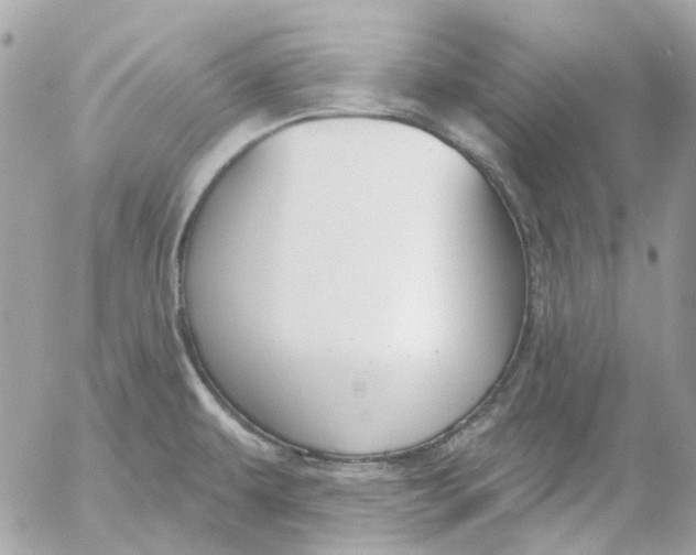 X0000052541479200507221413