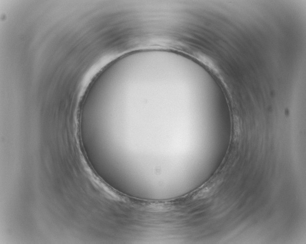 X0000052541480200507221413