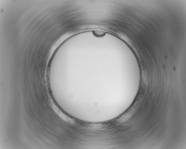 X0000052541482200507221413