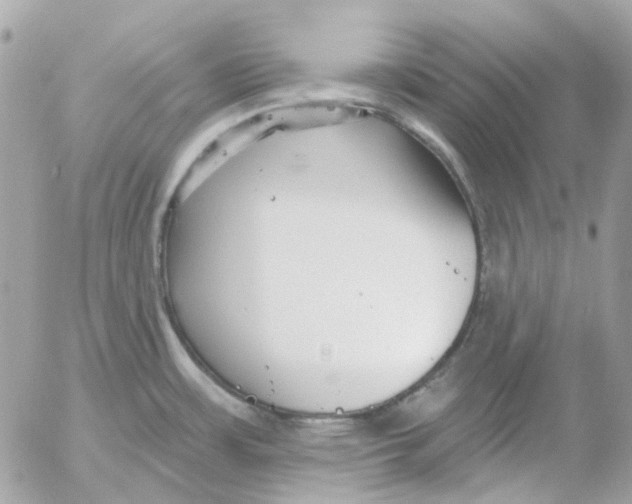 X0000052541483200507221413