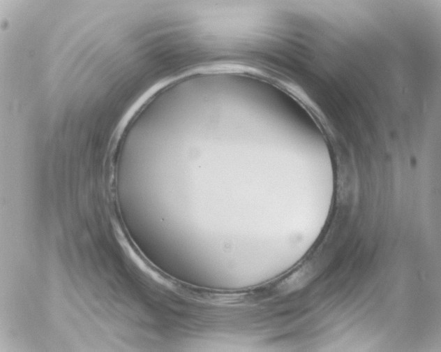 X0000052541484200507221413