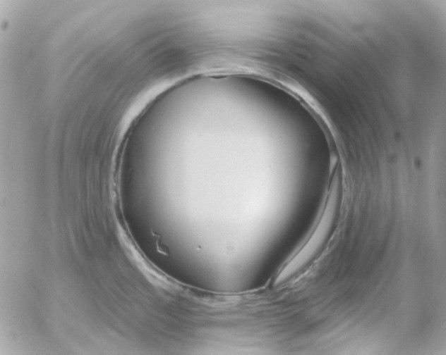 X0000052541485200507221413