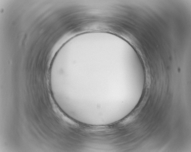 X0000052541486200507221413