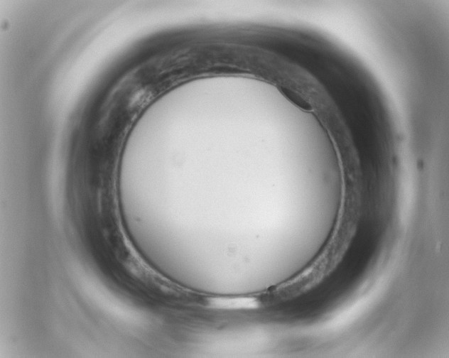 X0000052541487200507221413