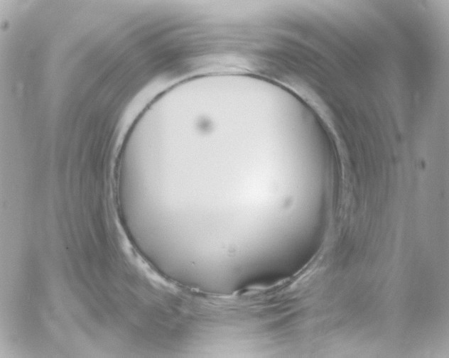 X0000052541488200507221413