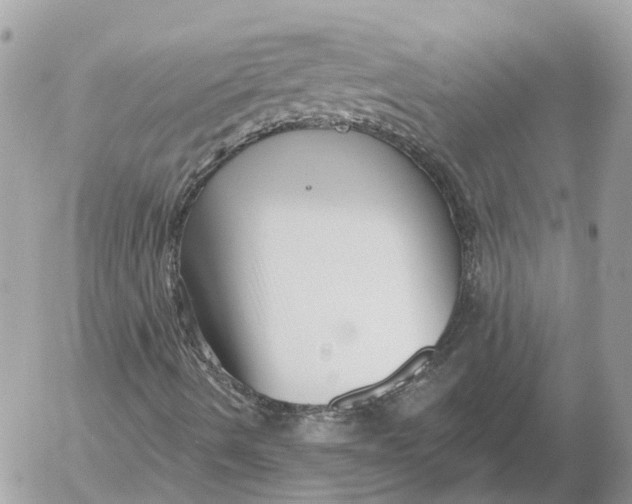 X0000052541490200507221412