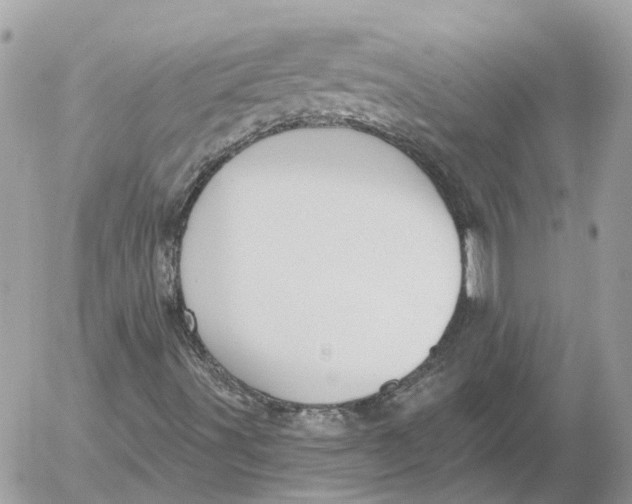 X0000052541491200507221412