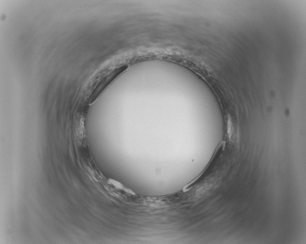 X0000052541492200507221412