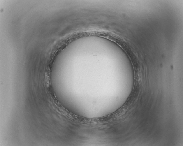 X0000052541493200507221412