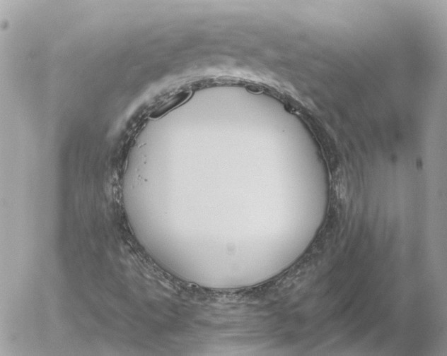 X0000052541495200507221412