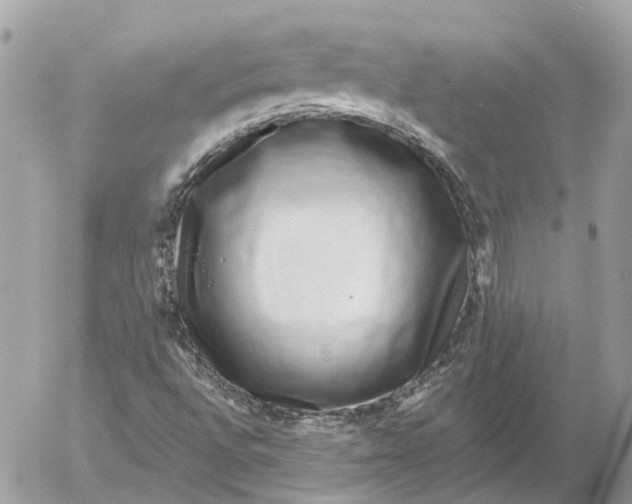 X0000052541496200507221412