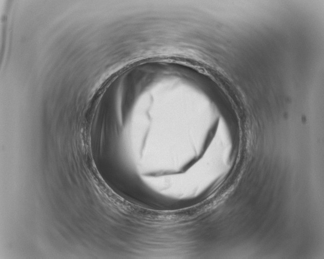 X0000052541497200507221412