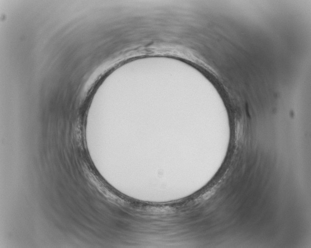 X0000052541498200507221412